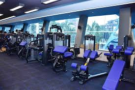 Gym equipments